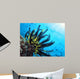 Crinoide Wall Decal