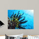 Crinoide Wall Decal