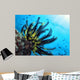 Crinoide Wall Decal
