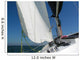 Sailboat Wall Decal