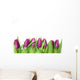 Tulpen Wall Decal