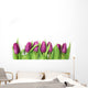 Tulpen Wall Decal