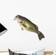 Fishing Catch Bass Wall Decal