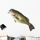Fishing Catch Bass Wall Decal
