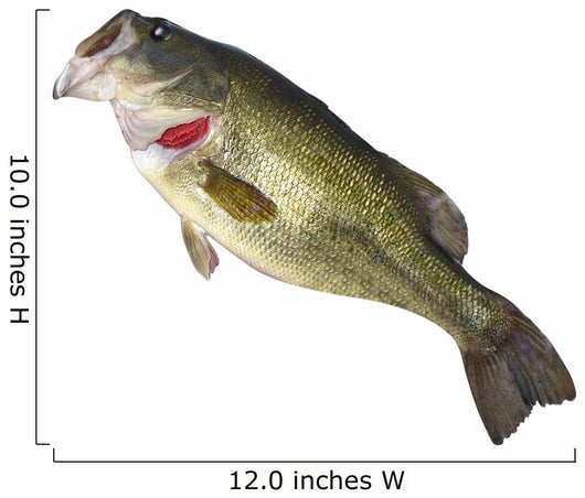Fishing Catch Bass Wall Decal