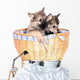 Two Wolf Dog Puppies Wall Decal