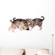 Three Wolf Dog Puppies Playing Wall Decal