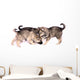Three Wolf Dog Puppies Playing Wall Decal
