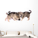 Three Wolf Dog Puppies Playing Wall Decal