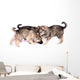 Three Wolf Dog Puppies Playing Wall Decal
