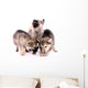 Feeding Wolf Dog Puppies Wall Decal