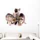 Feeding Wolf Dog Puppies Wall Decal