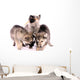 Feeding Wolf Dog Puppies Wall Decal