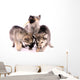 Feeding Wolf Dog Puppies Wall Decal