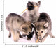 Feeding Wolf Dog Puppies Wall Decal