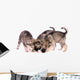 Three Wolf Dog Puppies Eating Treats Wall Decal