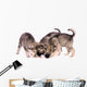 Three Wolf Dog Puppies Eating Treats Wall Decal
