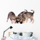 Three Wolf Dog Puppies Eating Treats Wall Decal