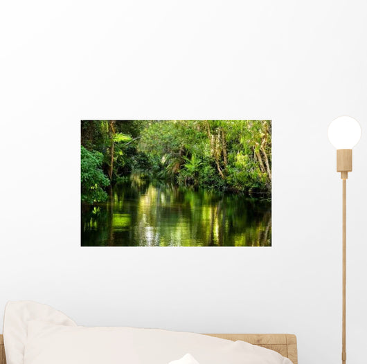 Magnificent Rainforest Creek Wall Decal