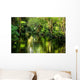 Magnificent Rainforest Creek Wall Decal