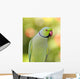 Ring Necked Parakeet Wall Decal