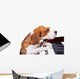 Dog Playing Piano Wall Decal