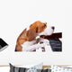 Dog Playing Piano Wall Decal