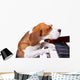 Dog Playing Piano Wall Decal