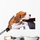Dog Playing Piano Wall Decal