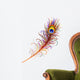 Peacock Feather-Peacock Feather-Vector Wall Decal