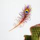 Peacock Feather-Peacock Feather-Vector Wall Decal