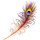 Peacock Feather-Peacock Feather-Vector Wall Decal