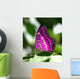 Pink Butterfly Leaf Wall Decal