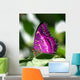 Pink Butterfly Leaf Wall Decal
