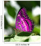 Pink Butterfly Leaf Wall Decal