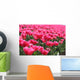 Tulips Wall Decal