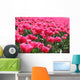 Tulips Wall Decal