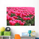 Tulips Wall Decal