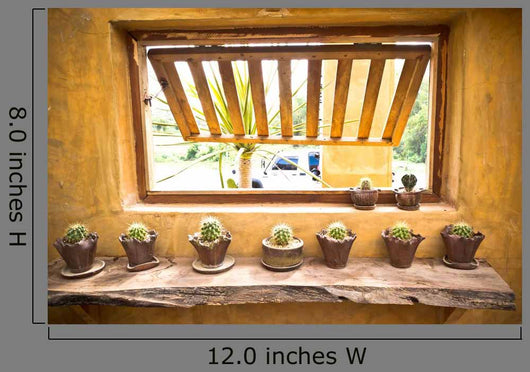 Flower Pots With Variety Wall Decal