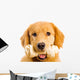 Happy Golden Retriever Dog Wall Decal