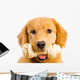 Happy Golden Retriever Dog Wall Decal