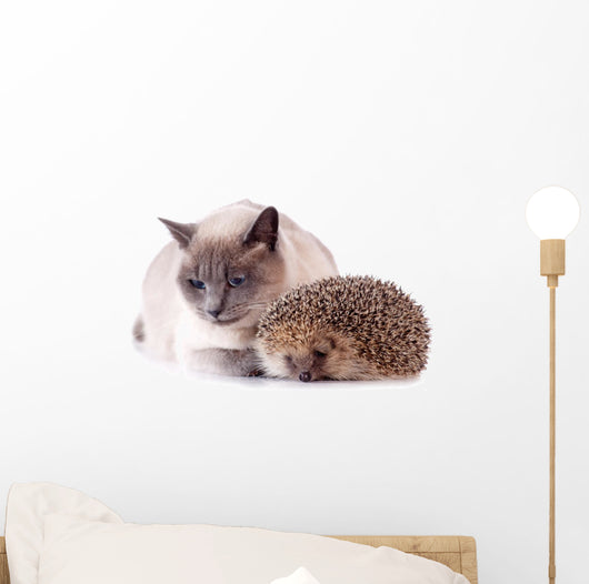 Cat And Hedgehog Wall Decal