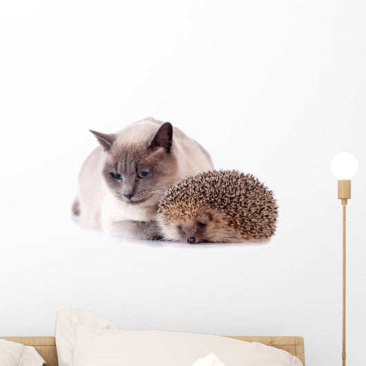 Cat And Hedgehog Wall Decal