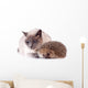 Cat And Hedgehog Wall Decal