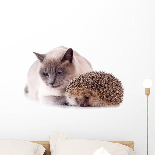 Cat And Hedgehog Wall Decal