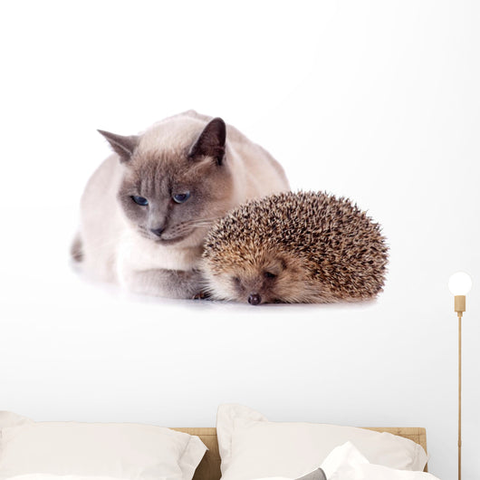 Cat And Hedgehog Wall Decal