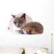 Cat And Hedgehog Wall Decal