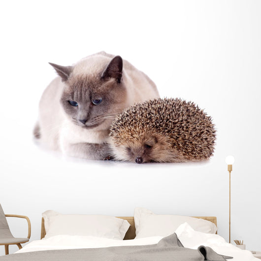 Cat And Hedgehog Wall Decal