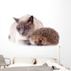 Cat And Hedgehog Wall Decal