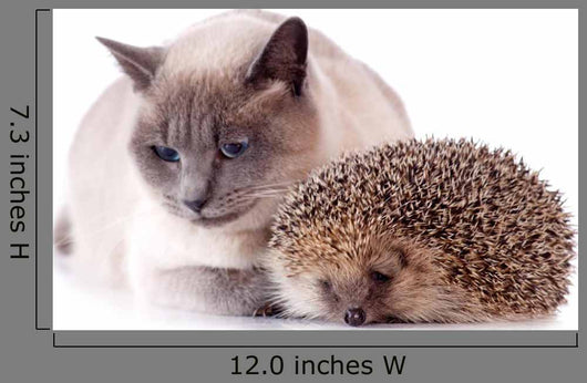 Cat And Hedgehog Wall Decal